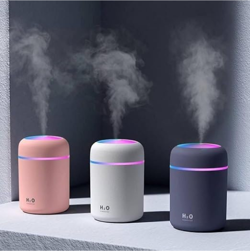 H2O Humidifier